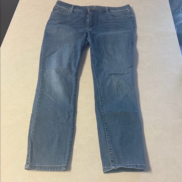 STS Blue Denim - STS Blue Mid-Wash Denim Jeans🐶